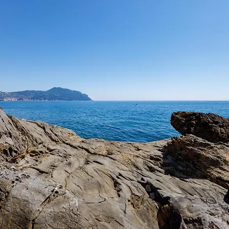 Pathway To The Sea